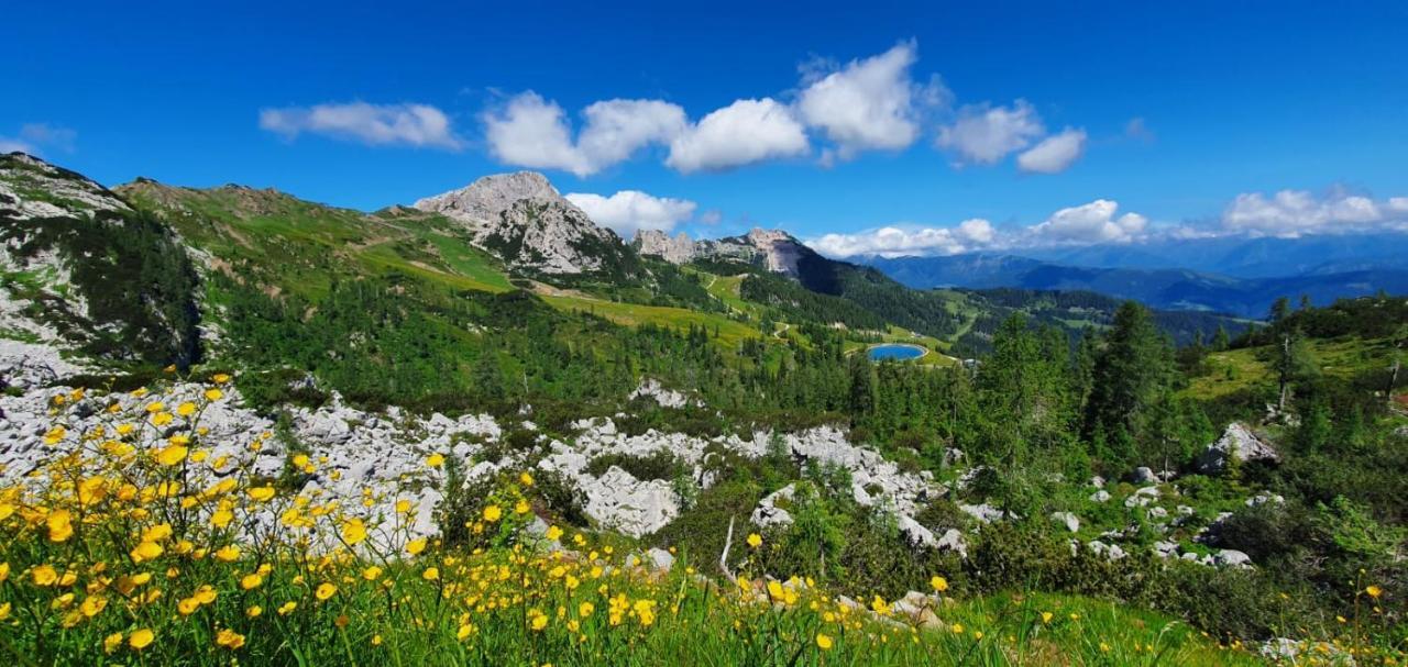 Ferienwohnung Almhaus Nassfeld Sonnenalpe Nassfeld Exterior foto